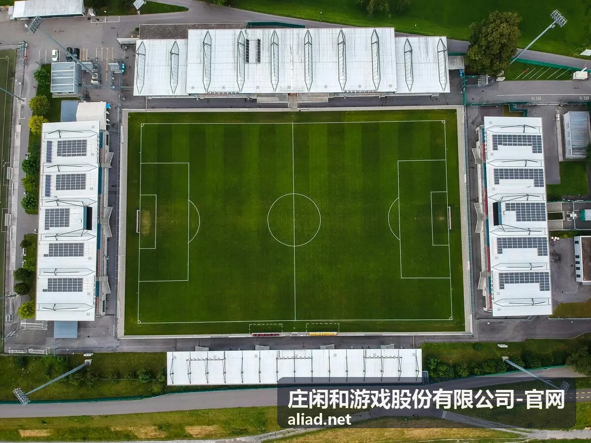 庄闲和游戏股份有限公司会员尊享资料预览图三